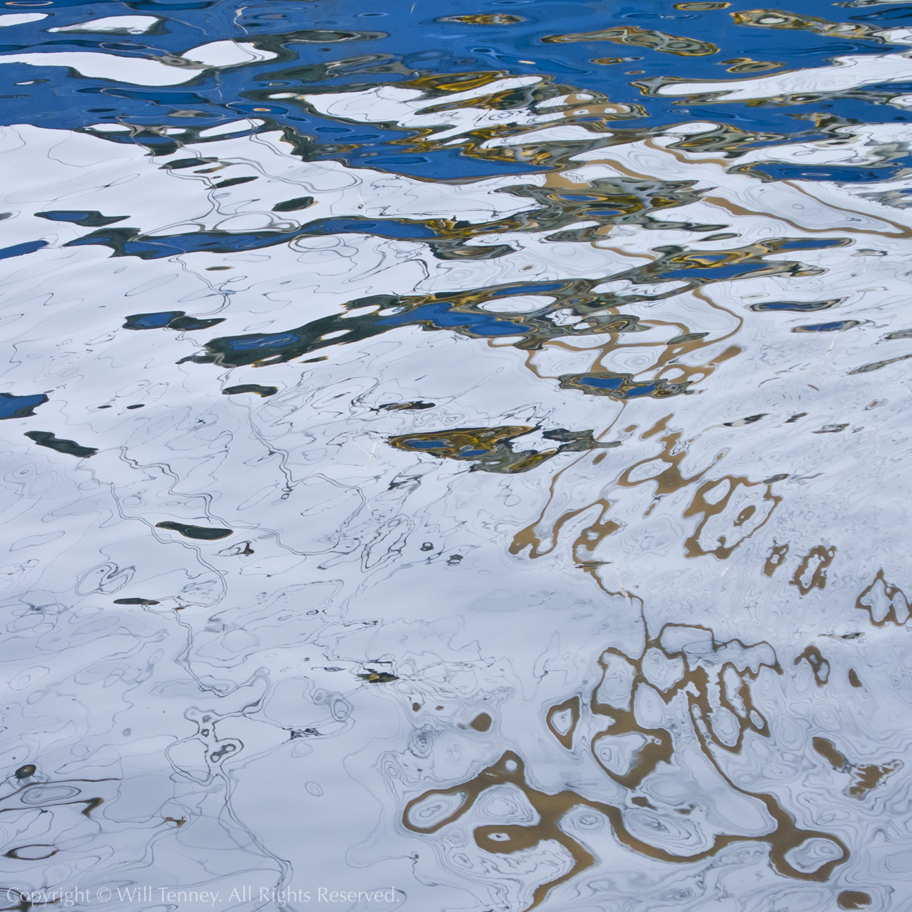 Lunenburg Harbor: Photograph by Will Tenney