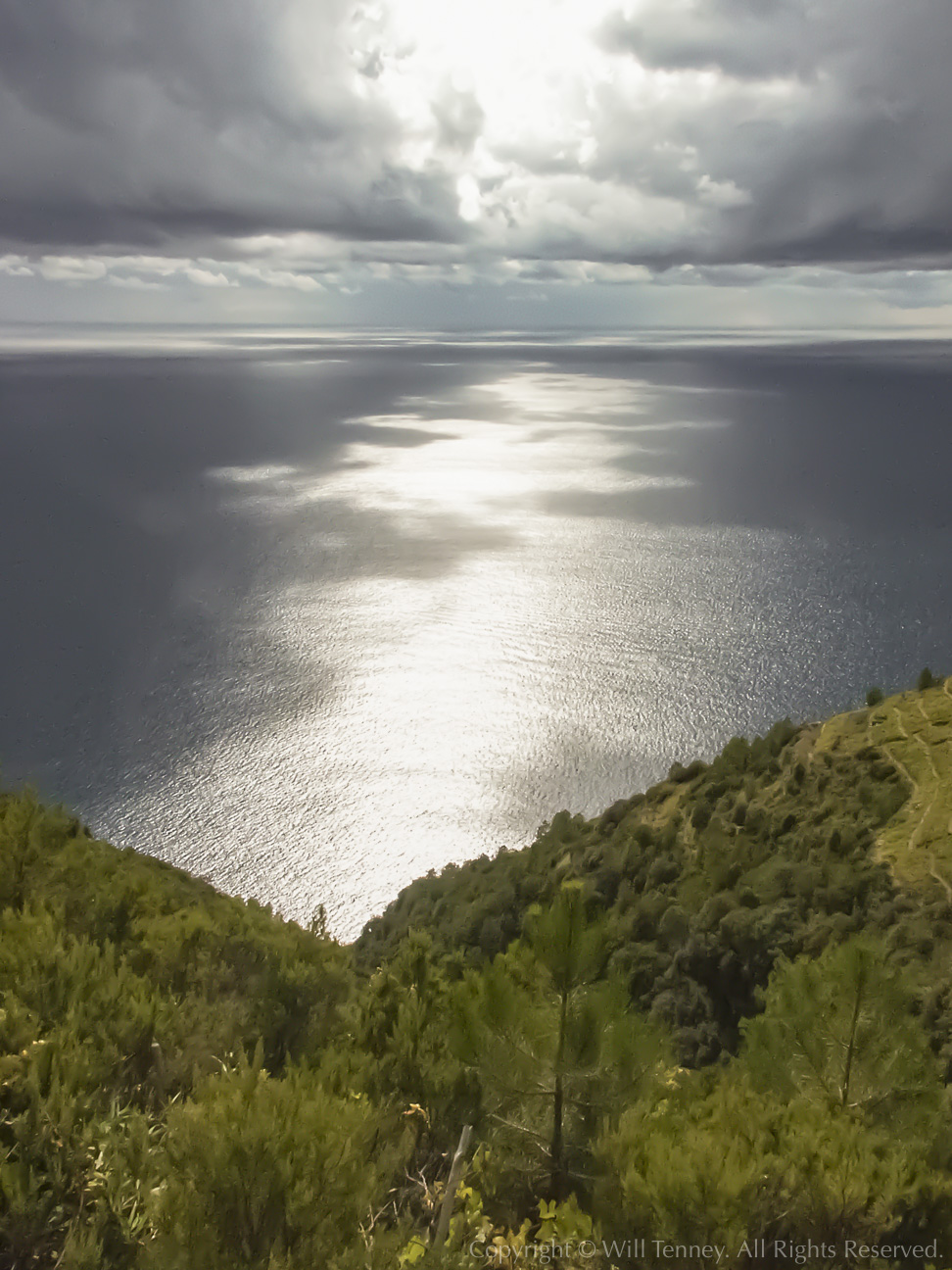 Above Corniglia: Photograph by Will Tenney