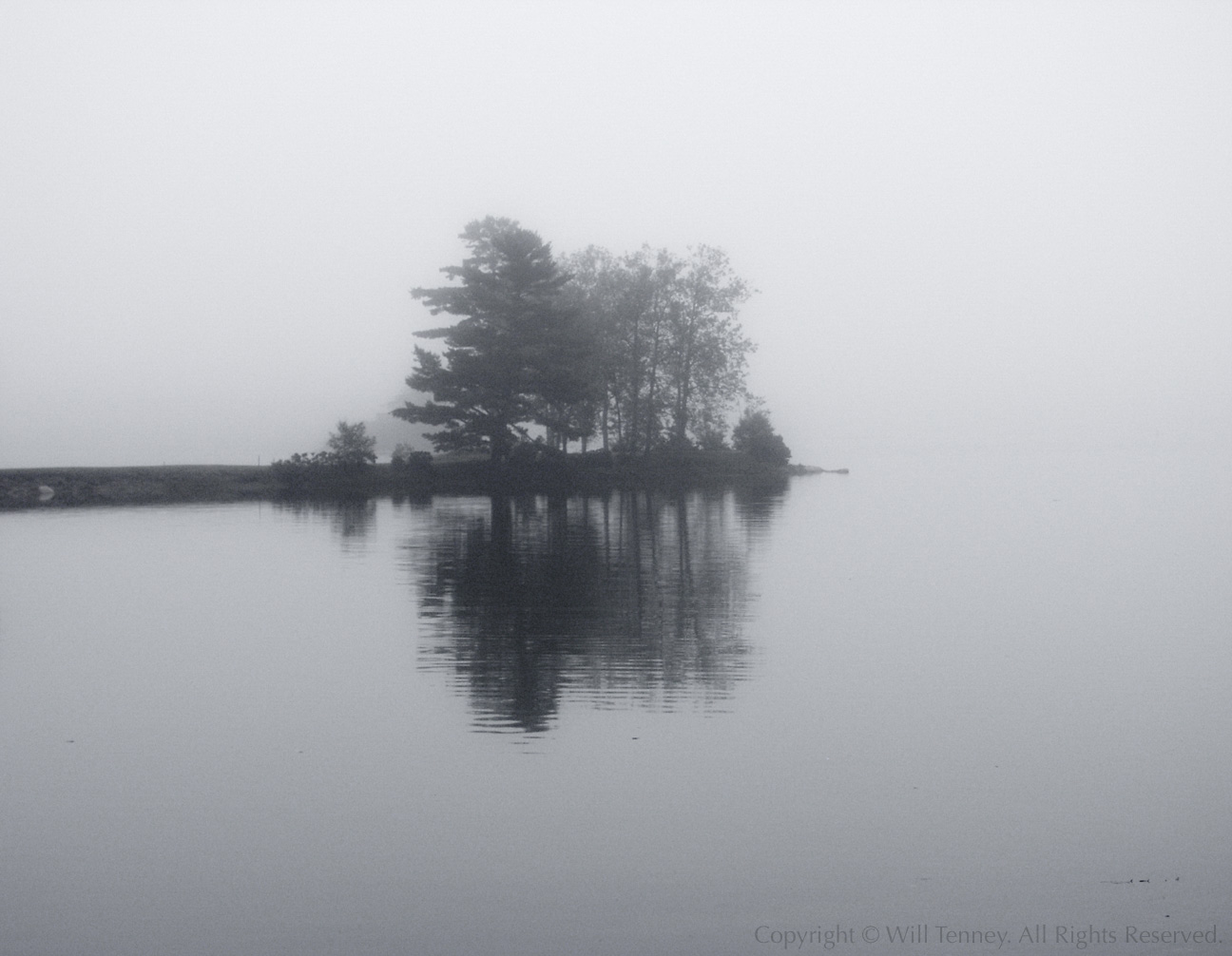 Foggy Peninsula: Photograph by Will Tenney