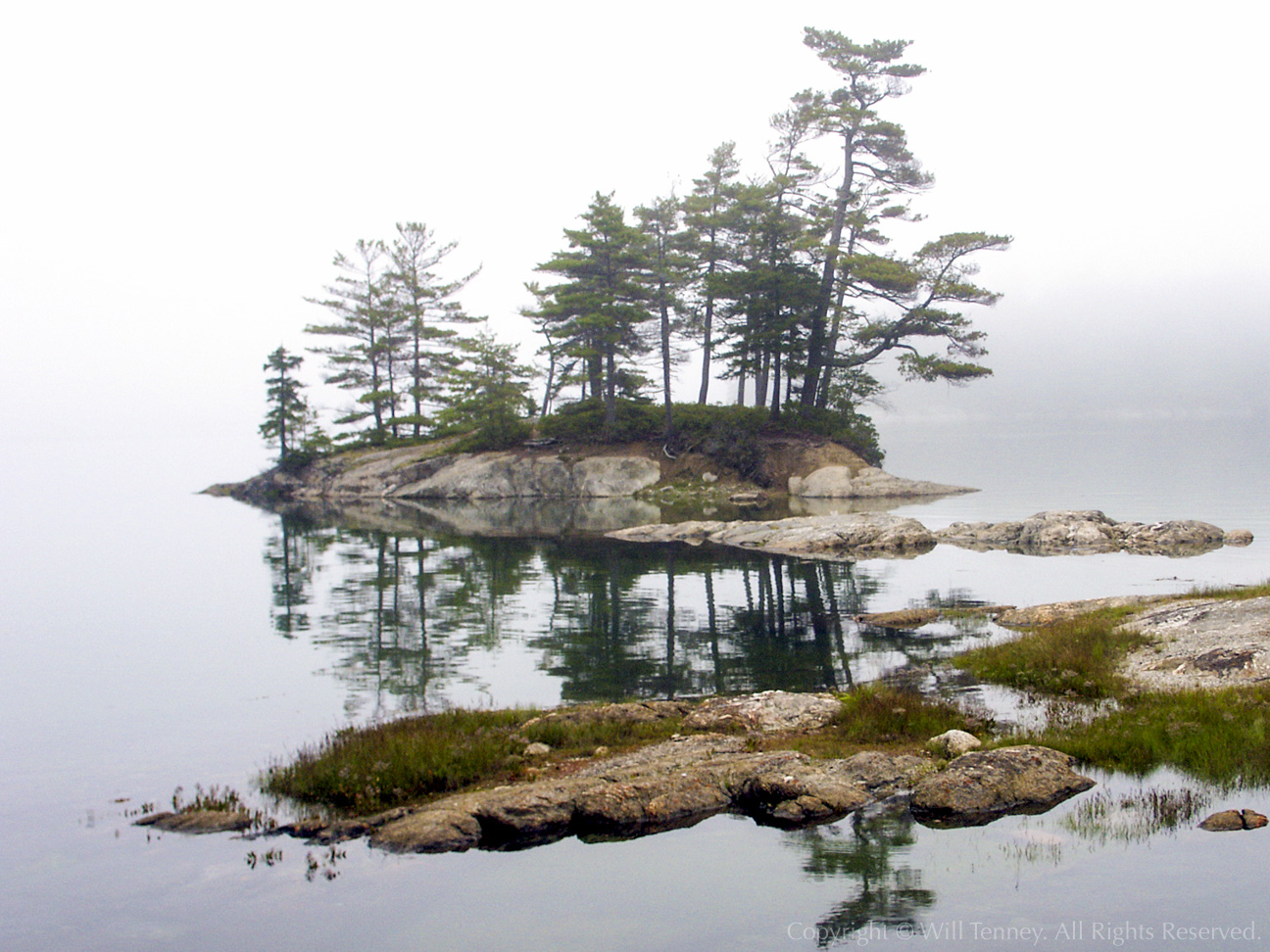 Maine Island Fog: Photograph by Will Tenney