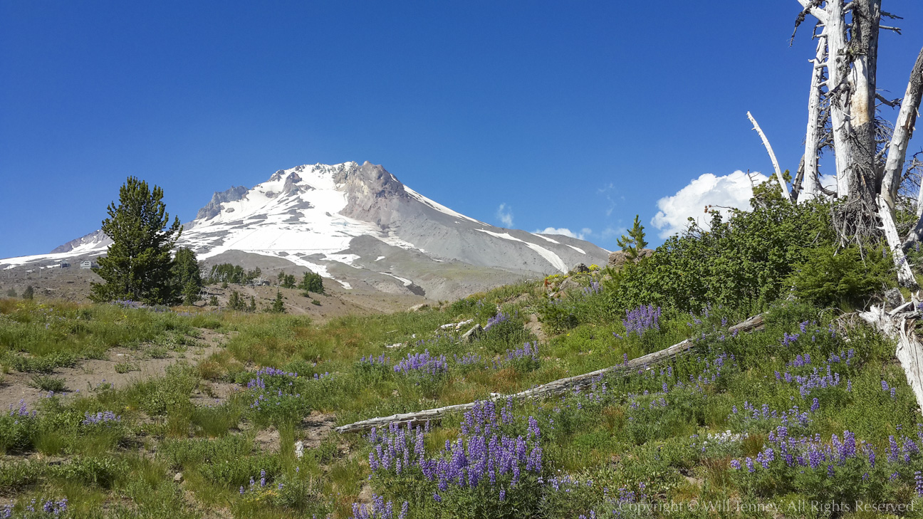 Mt. Hood: Photograph by Will Tenney