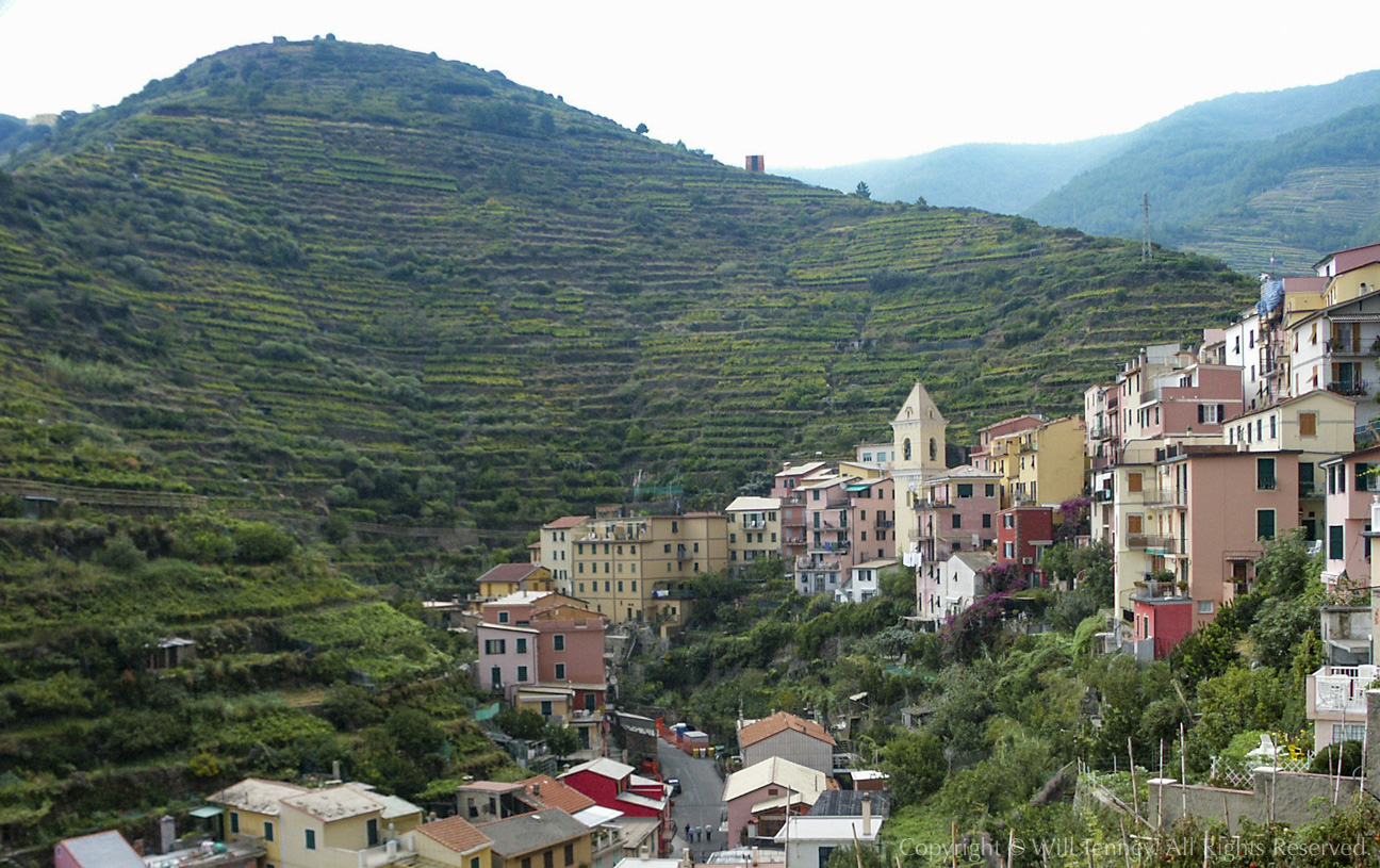 Upper Manarola: Photograph by Will Tenney