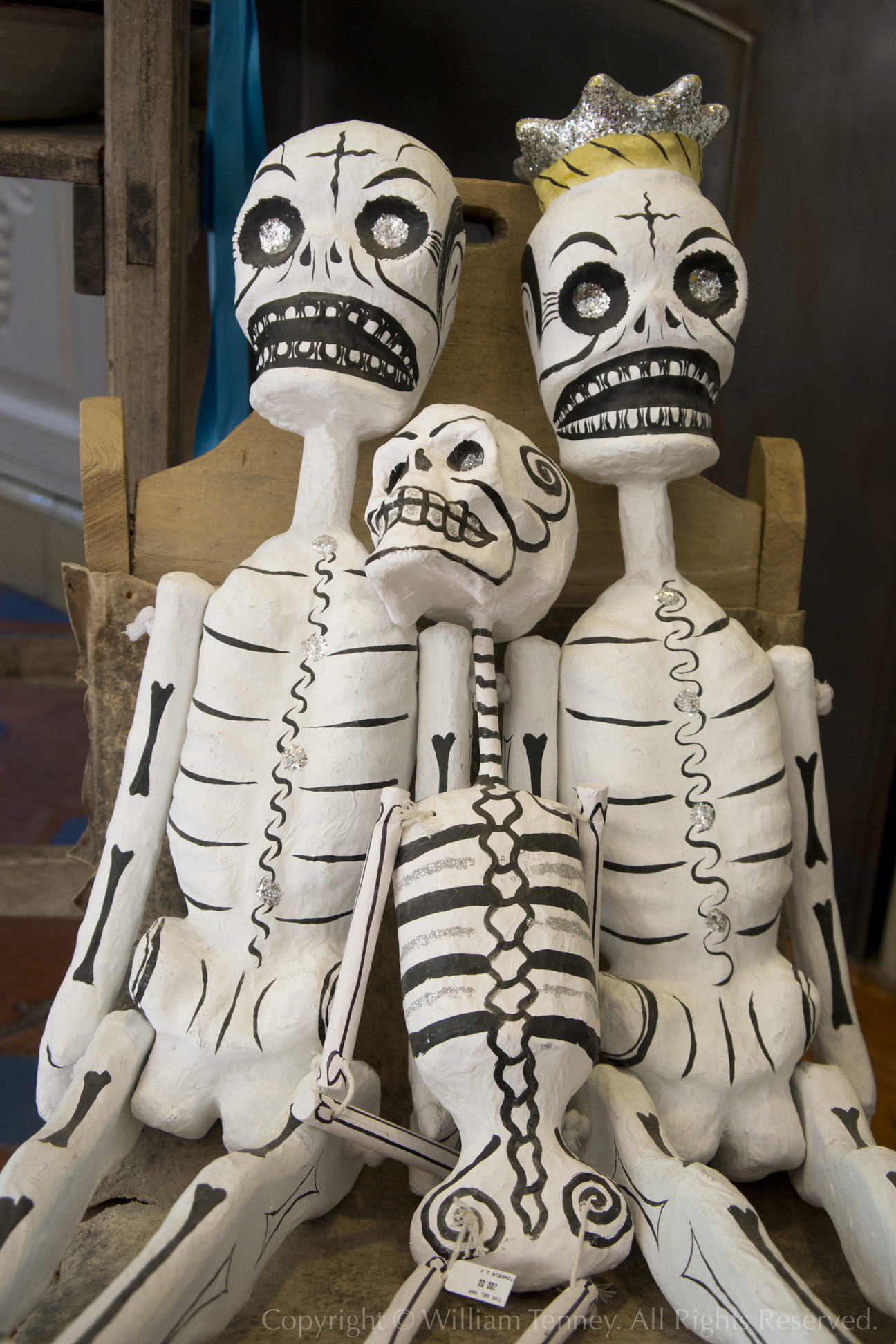 Bone Family: Photograph by Will Tenney