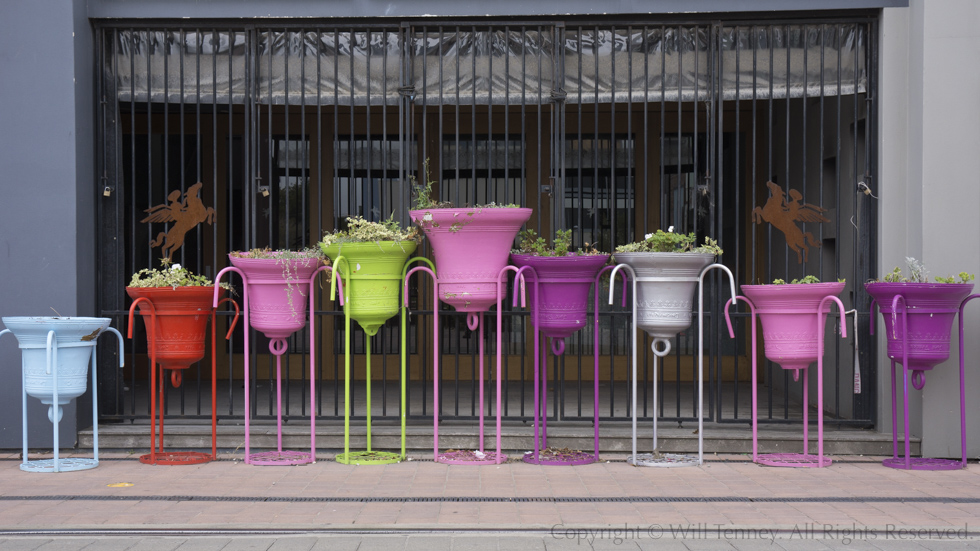 Christchurch Bells: Photograph by Will Tenney