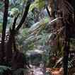 Hamurana Springs button