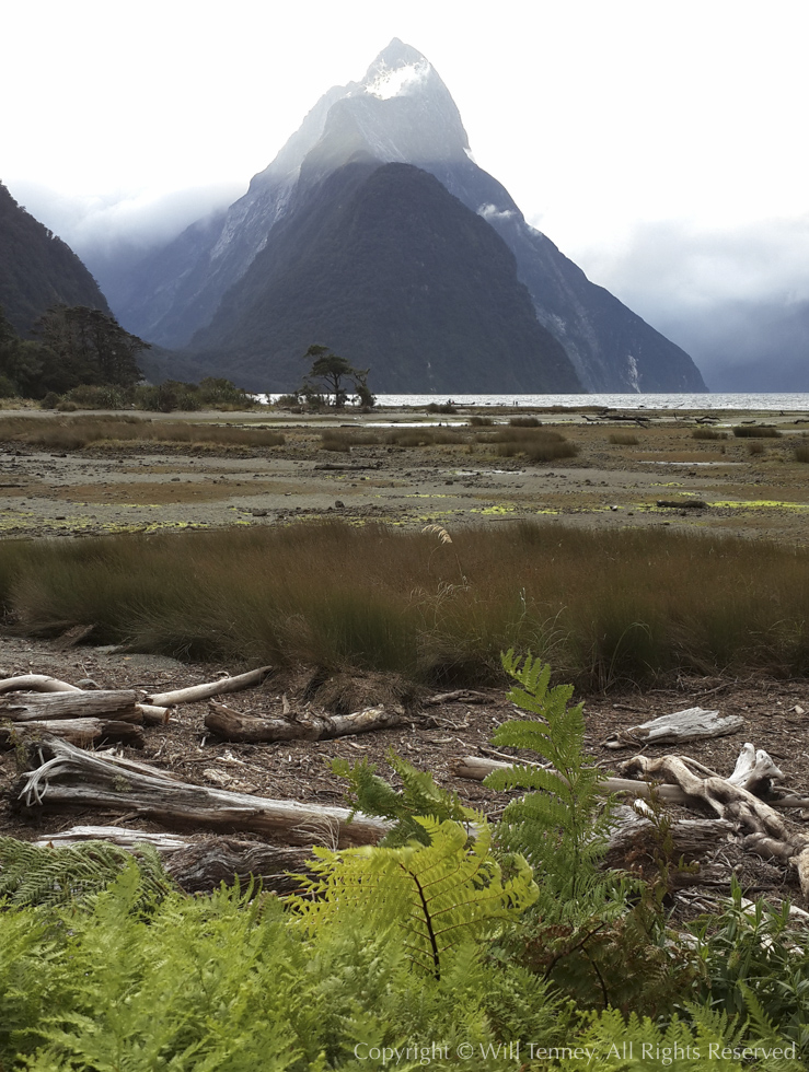Mitre Peak: Photograph by Will Tenney