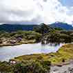 Mountain Tarn button