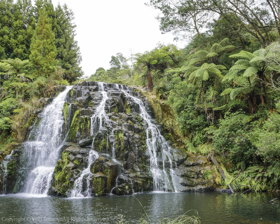 Owharoa Falls: Photograph by Will Tenney