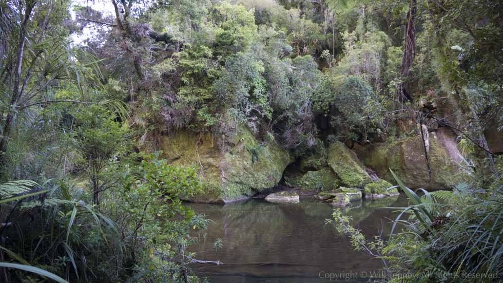 Porarari Riverside: Photograph by Will Tenney