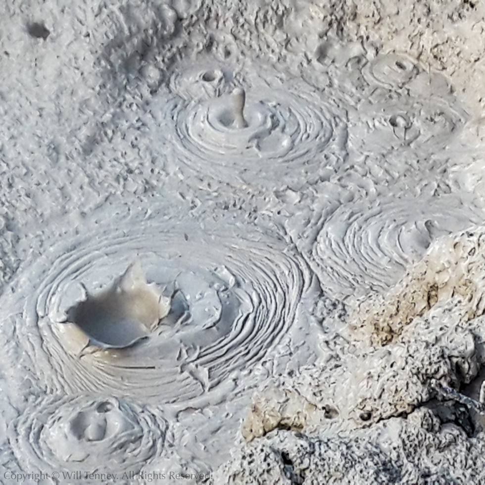 Waiotapu Mudpot: Photograph by Will Tenney