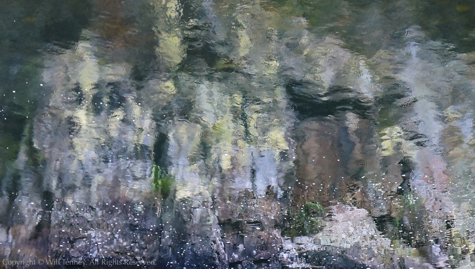 Waitawheto Water: Photograph by Will Tenney