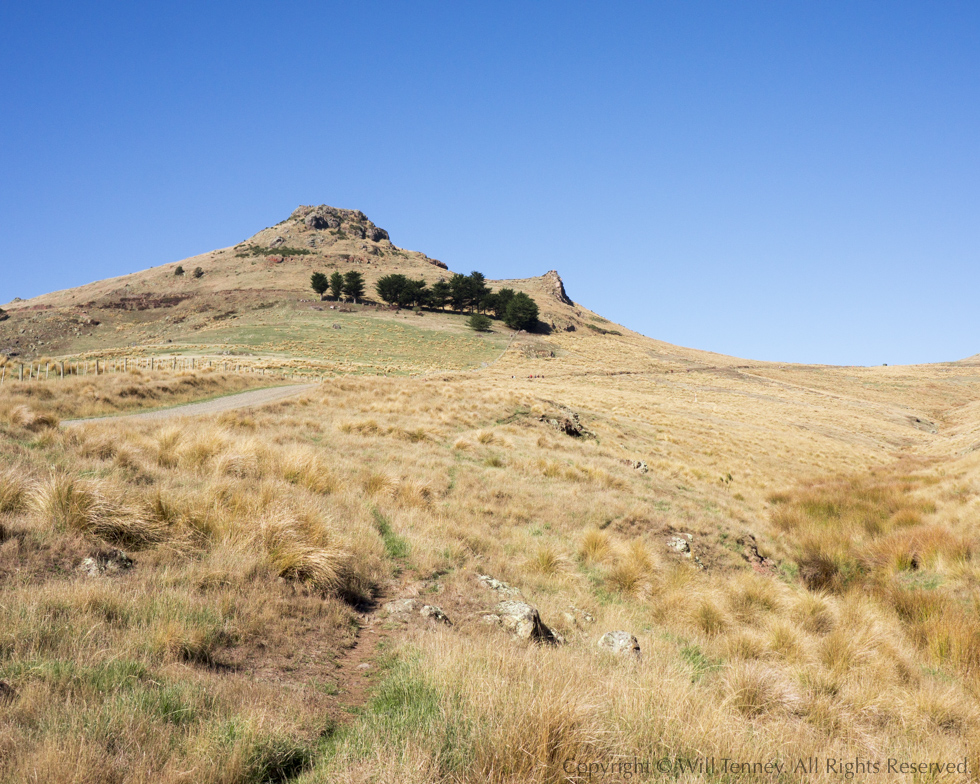 Witch Hill: Photograph by Will Tenney