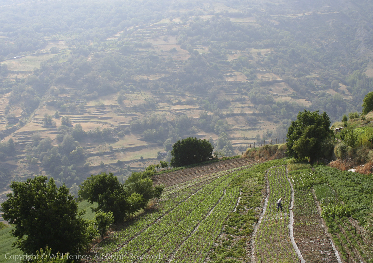 Mountain Fields: Photograph by Will Tenney