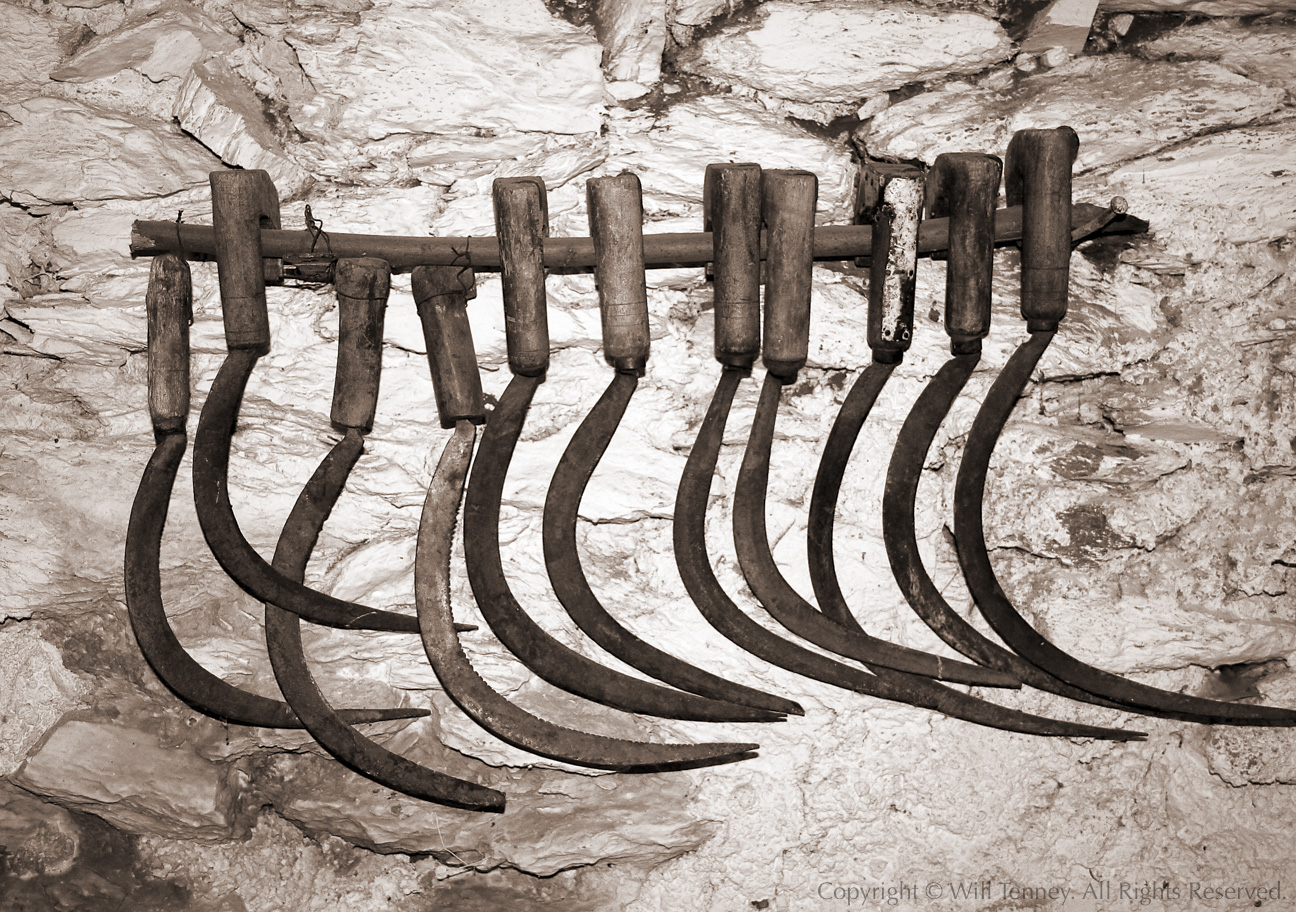 Sickles: Photograph by Will Tenney