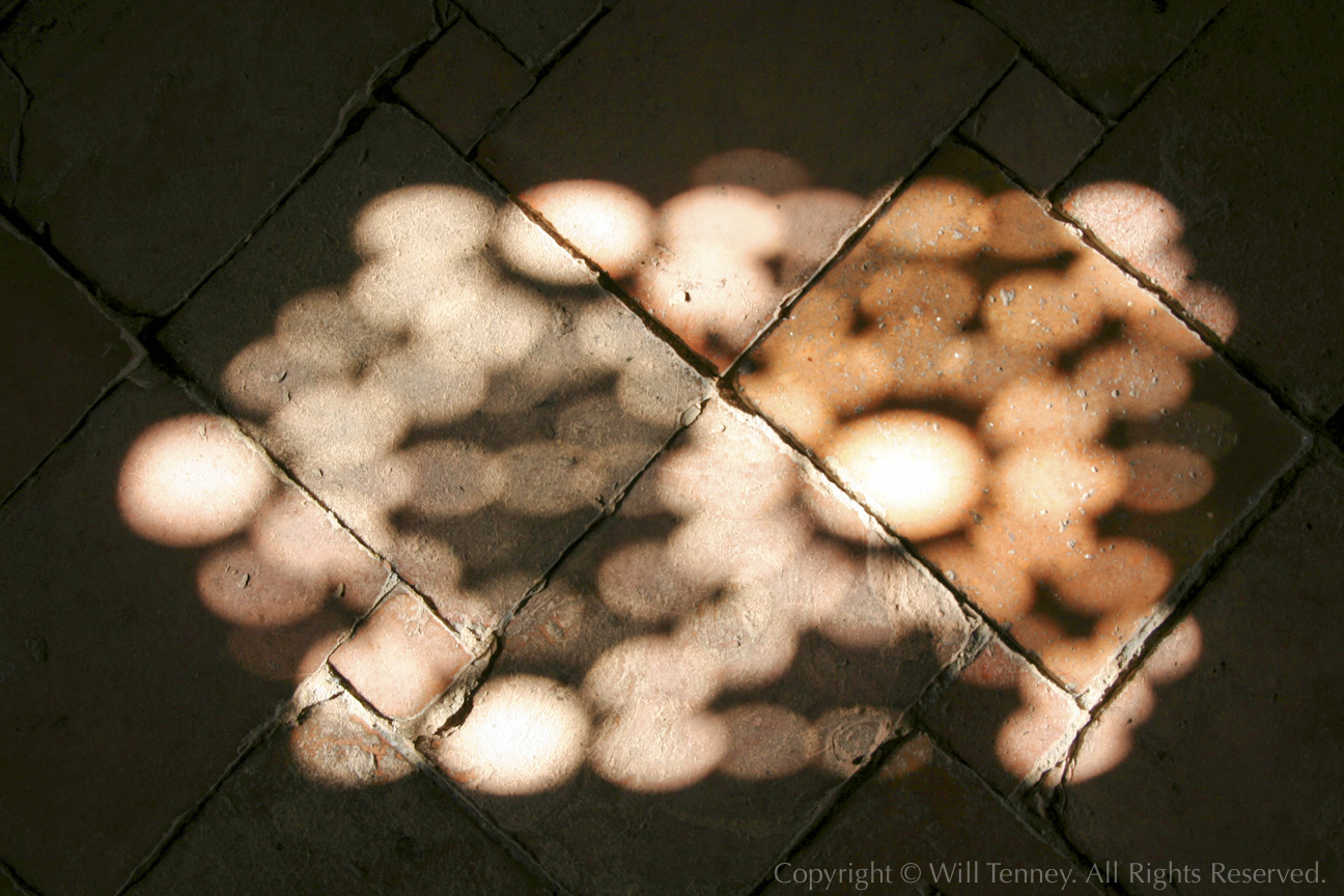 Spilled Light: Photograph by Will Tenney