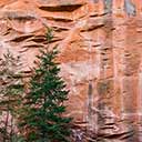 Oak Creek Canyon Wall button