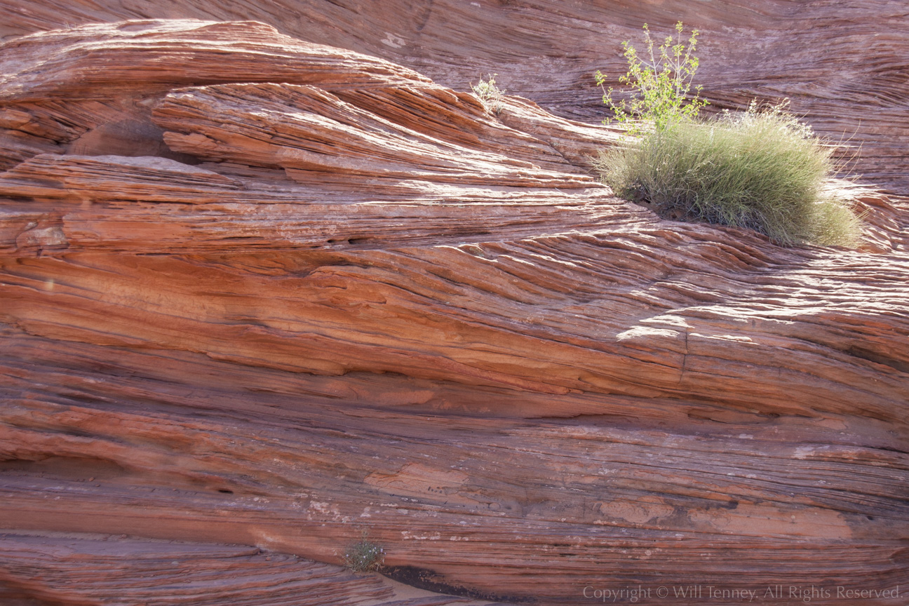 Page Cross Bedding: Photograph by Will Tenney