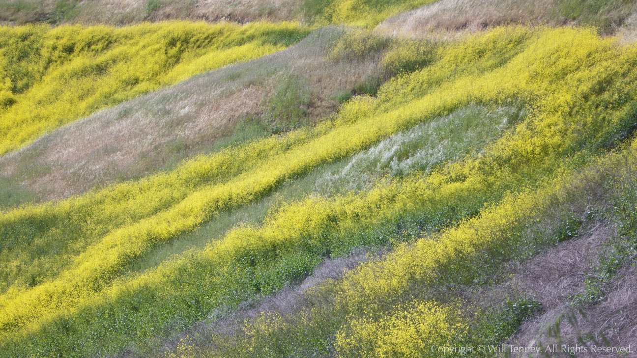 Springtime Hills: Photograph by Will Tenney