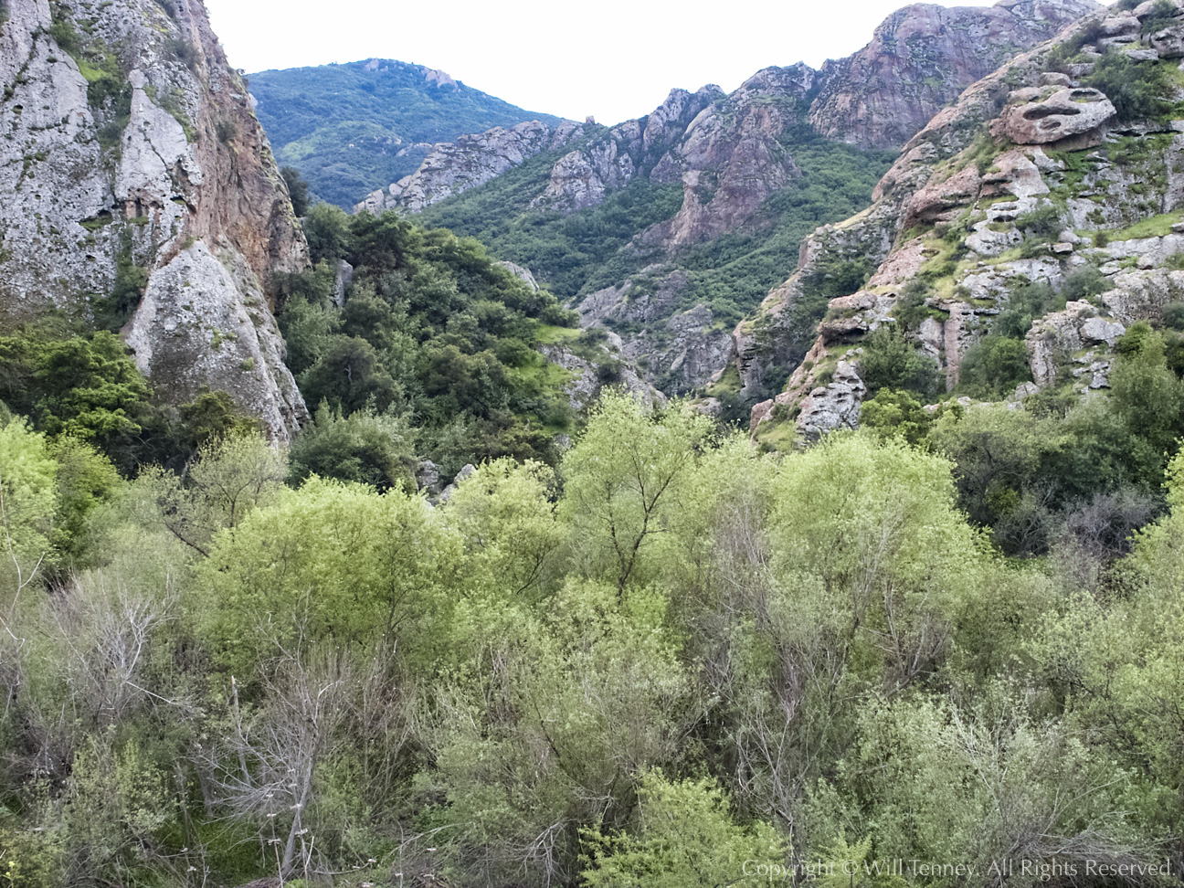 Malibu Creek: Photograph by Will Tenney