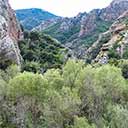 Malibu Creek Button