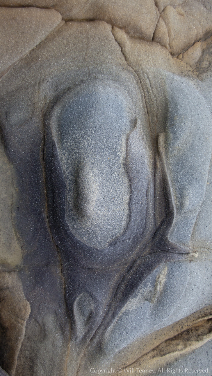 Naissance: Photograph by Will Tenney