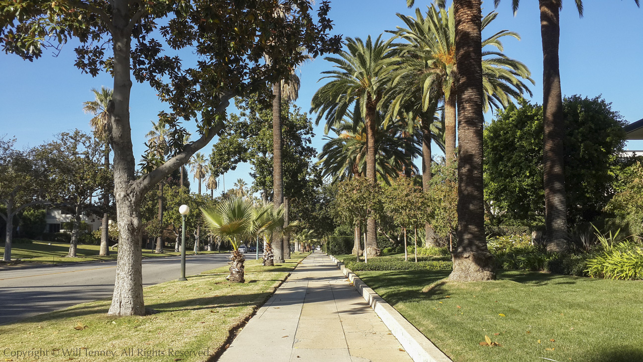 Pasadena Sidewalk: Photograph by Will Tenney
