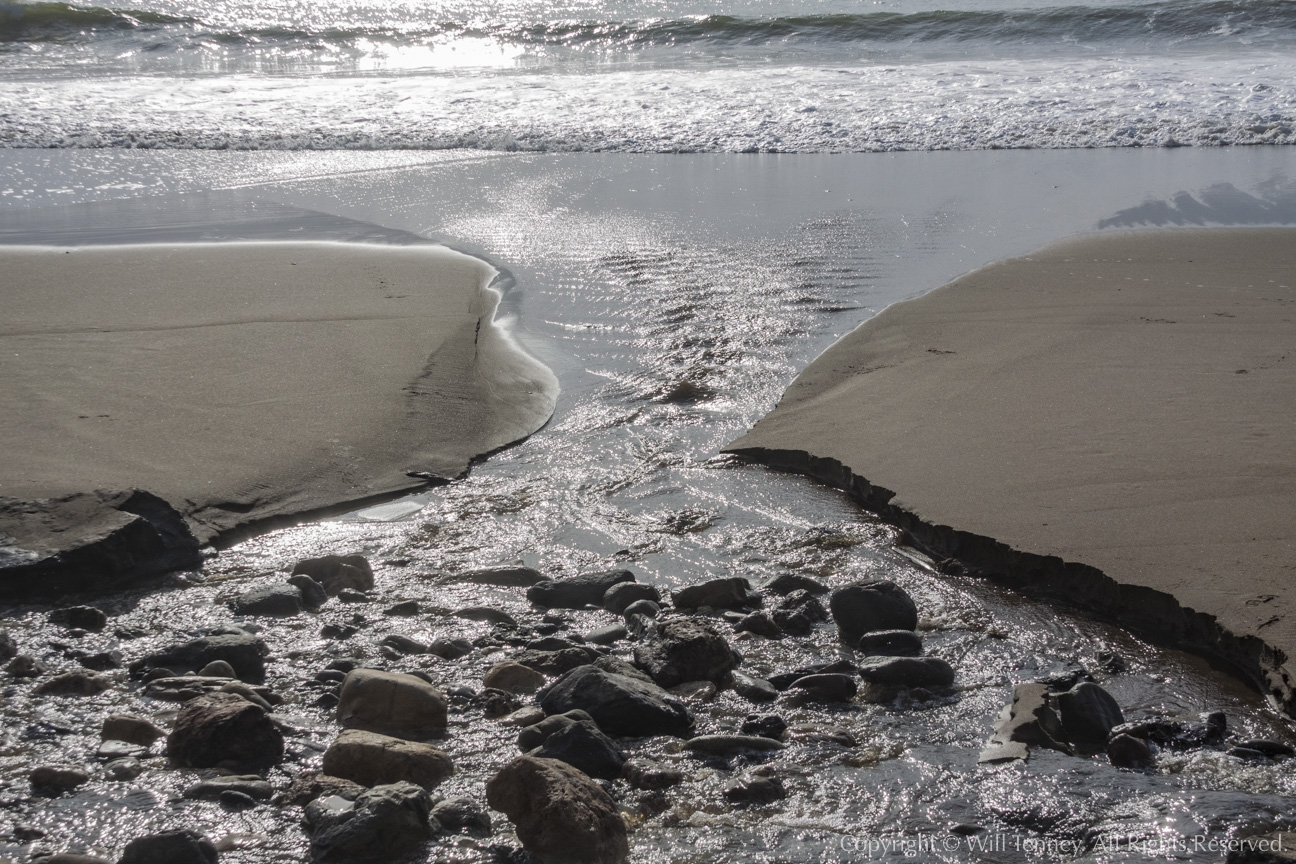 Running to the Pacific: Photograph by Will Tenney