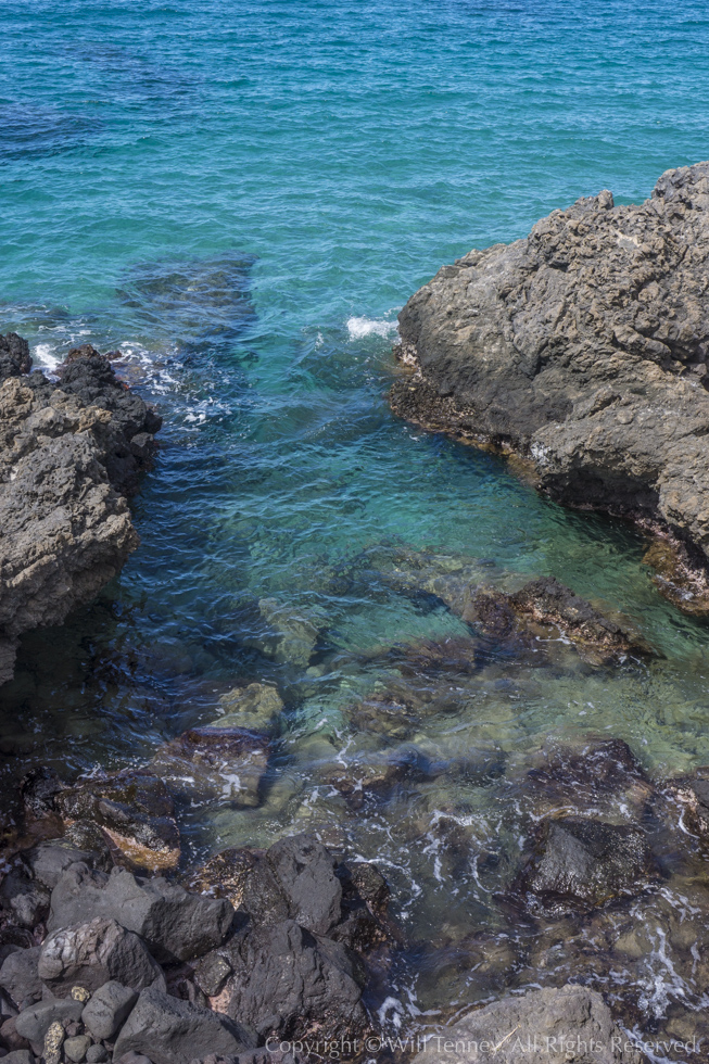 Clear Blue Pacific: Photograph by Will Tenney