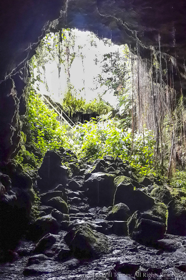 Kaumana Lava Tube: Photograph by Will Tenney