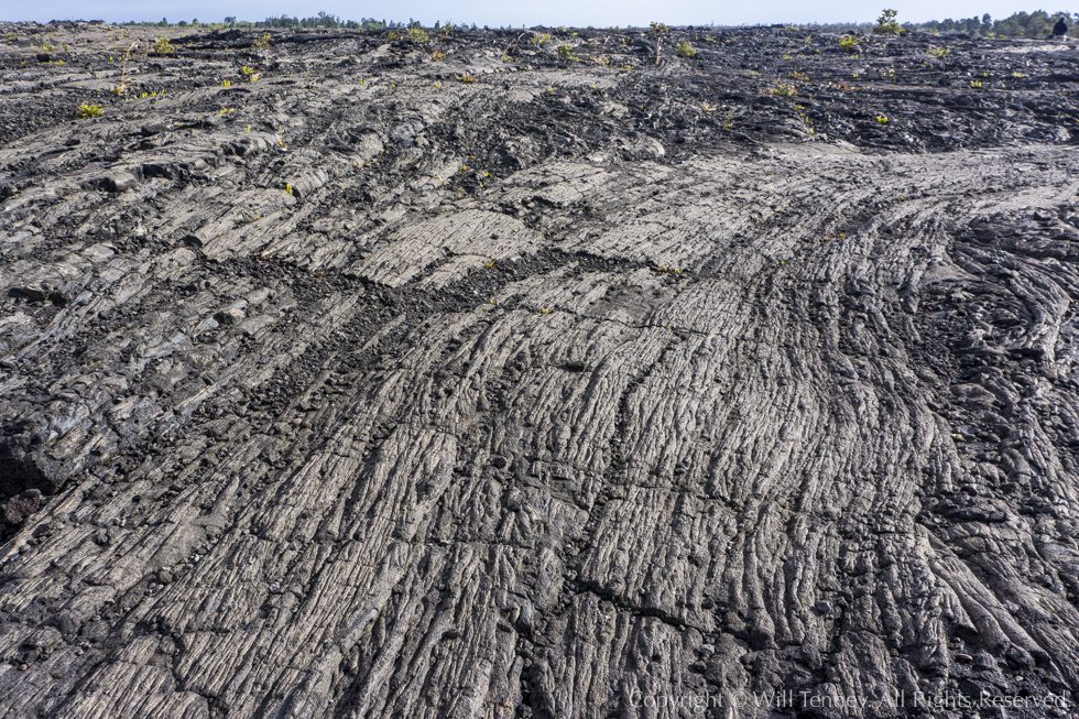 Mauna Ulu Lava Flow: Photograph by Will Tenney