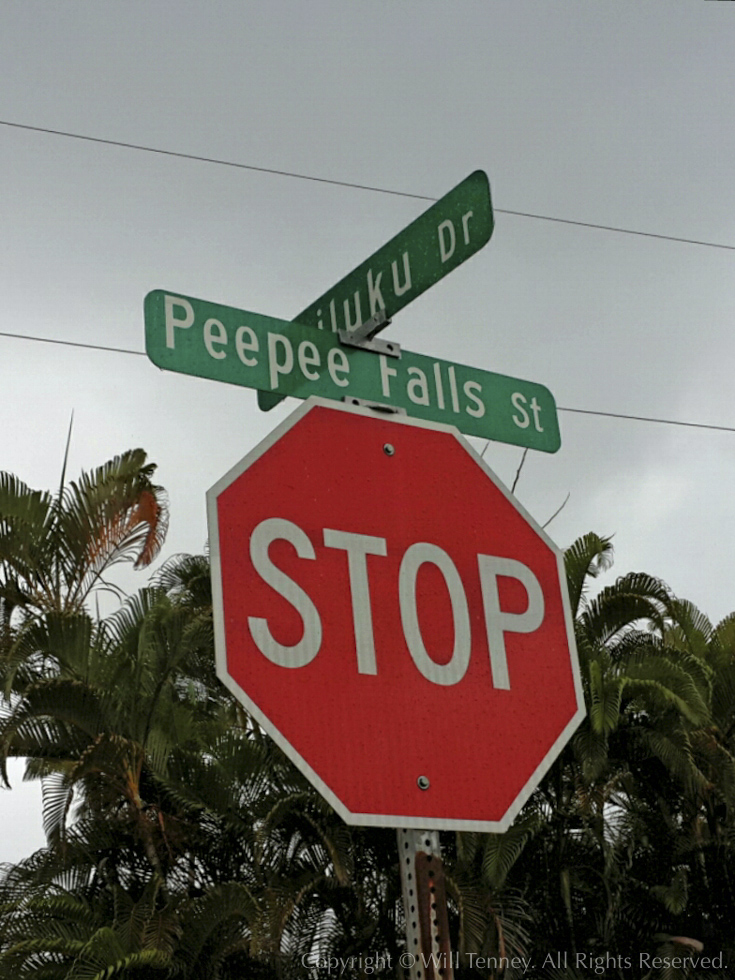 Peepee Falls: Photograph by Will Tenney