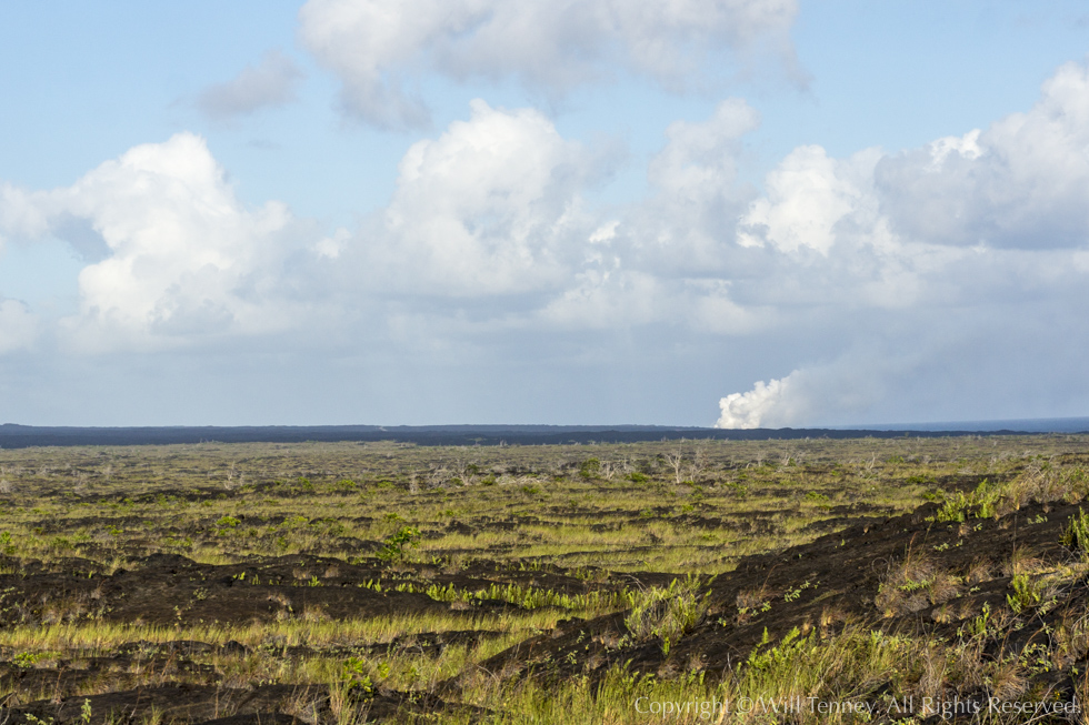 Plume at Kamokuna: Photograph by Will Tenney