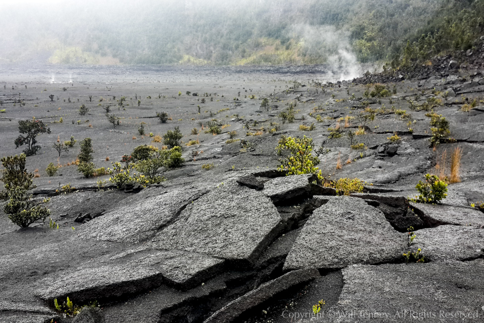 Still Steaming: Photograph by Will Tenney