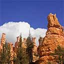 Bryce Fairyland Trail button