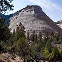 Checkerboard Mesa button