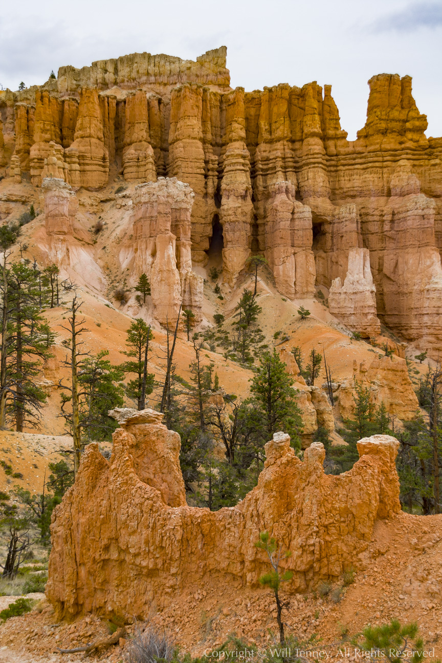 In Fairyland: Photograph by Will Tenney