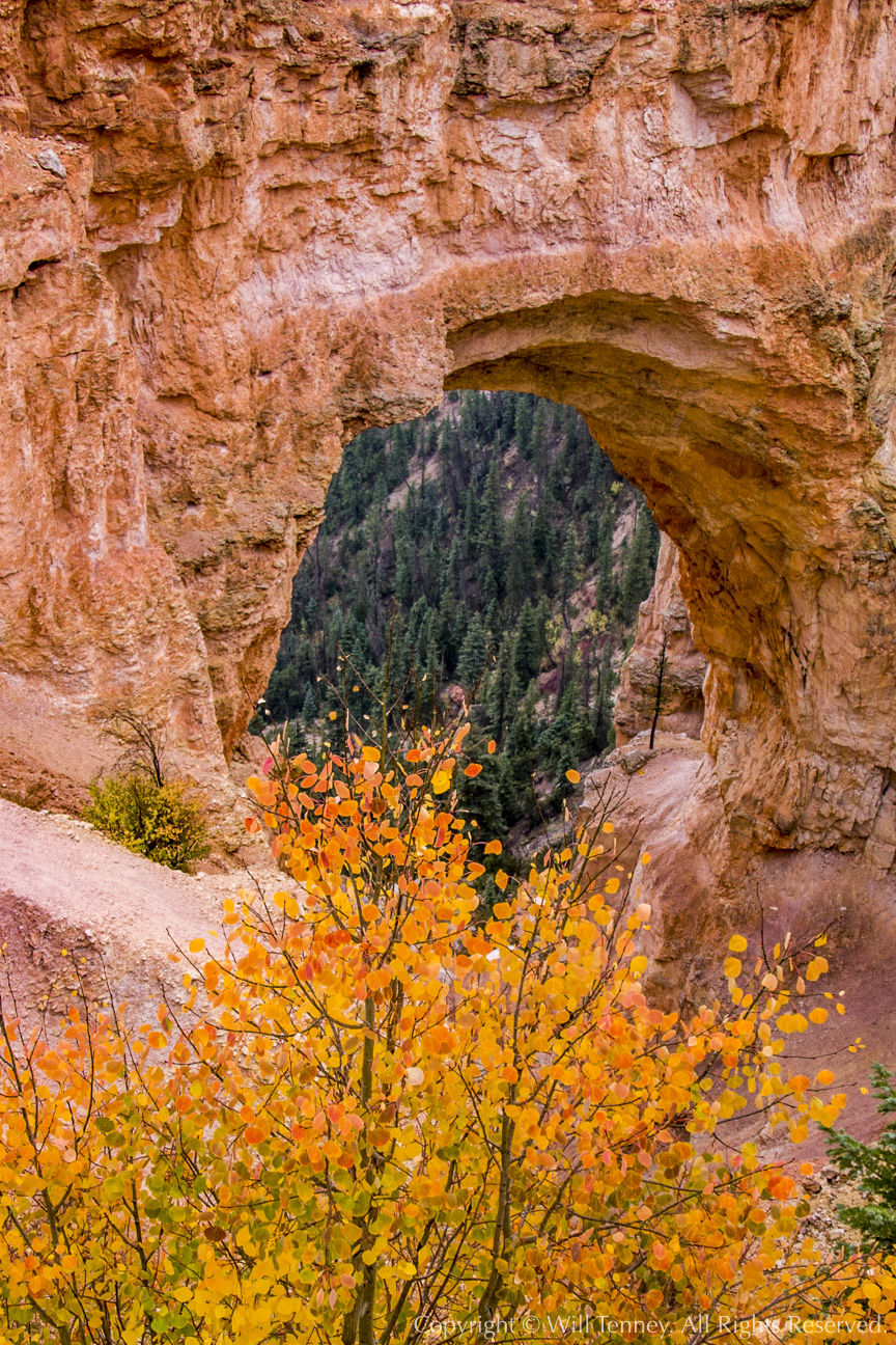 Natural Bridge: Photograph by Will Tenney