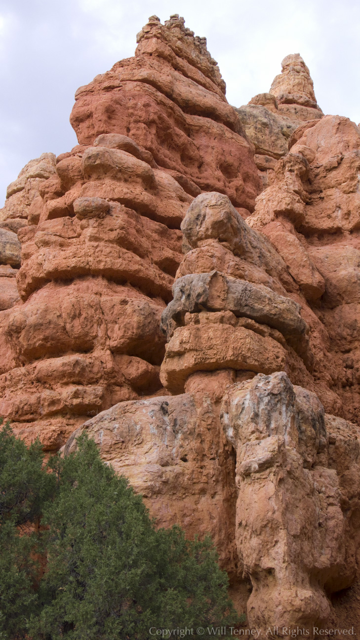 Red Canyon Formations: Photograph by Will Tenney