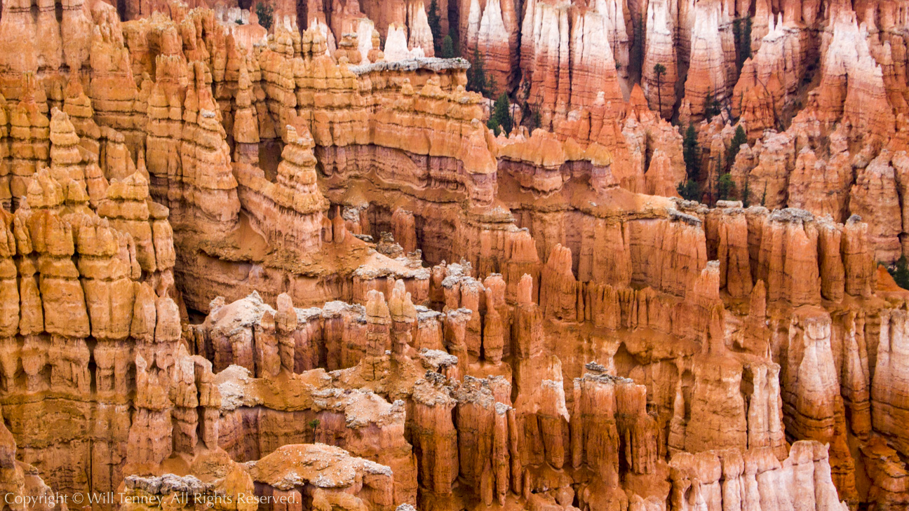 The Amphitheater: Photograph by Will Tenney
