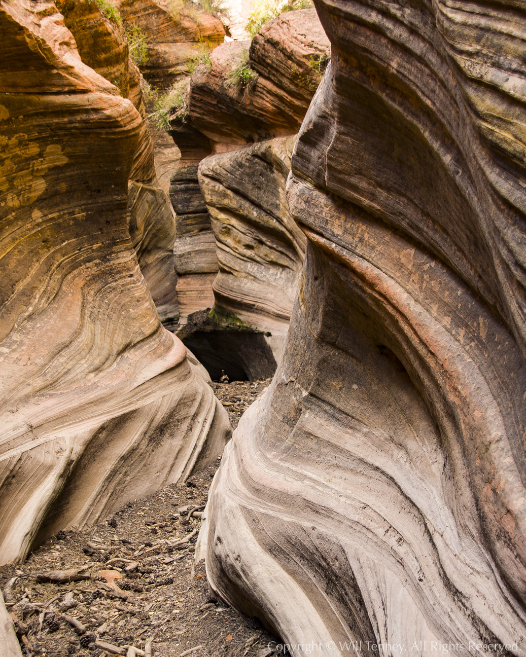 Zion Slot Canyon: Photograph by Will Tenney