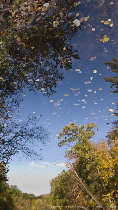 Blackstone Fall: Photograph by Will Tenney