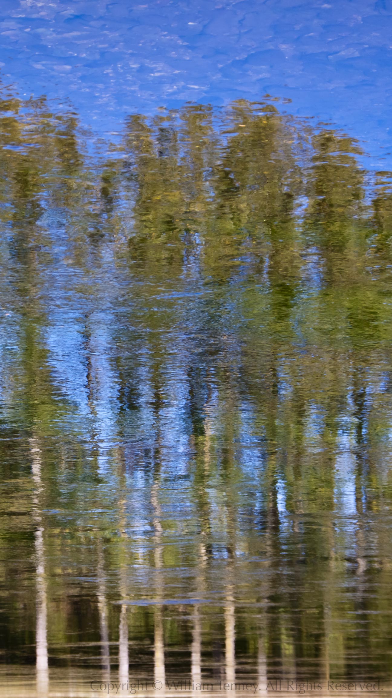 Dordogne Dream: Photograph by Will Tenney