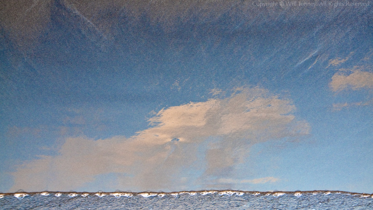 Evening’s Minion: Photograph by Will Tenney
