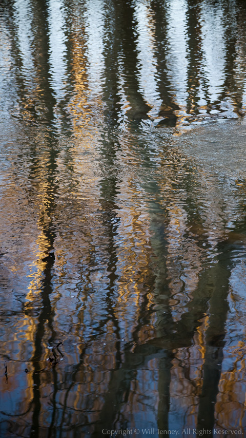 Synapse: Photograph by Will Tenney