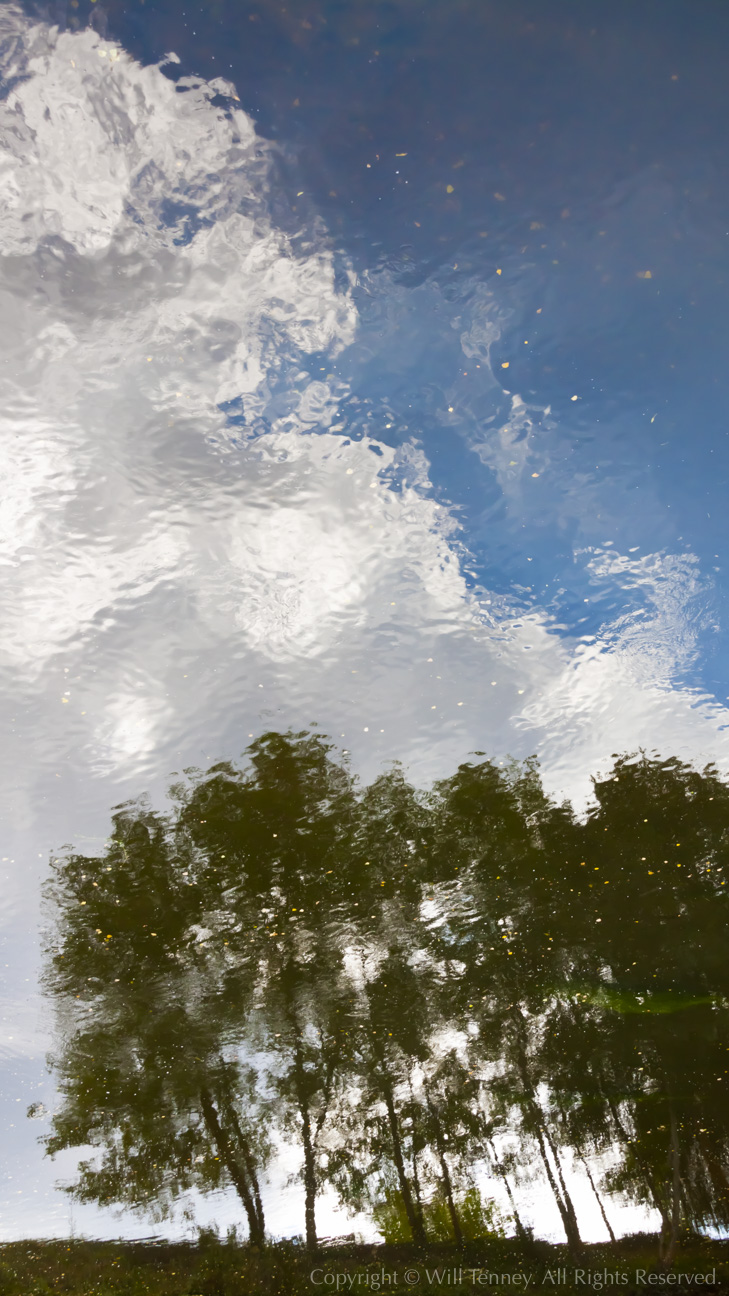 Vezere at Les Eyzies: Photograph by Will Tenney