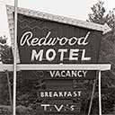 Redwood Motel Button