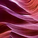 Dancing Antelopes button