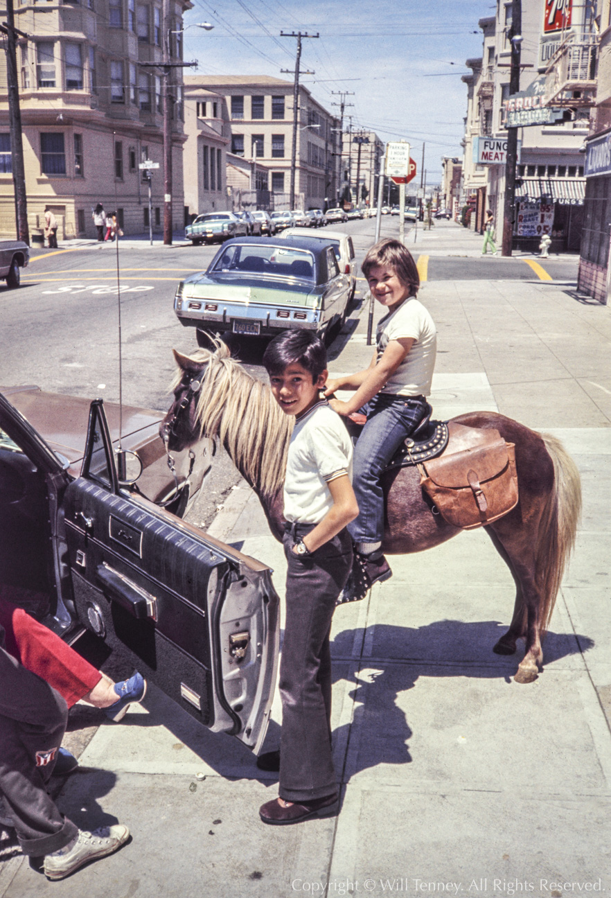 Goin’ For A Ride: Photograph by Will Tenney